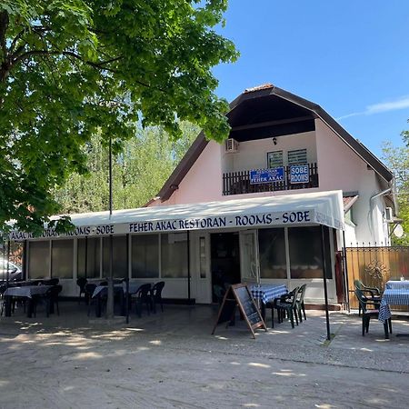 Feher Akac Guest House Palić Εξωτερικό φωτογραφία