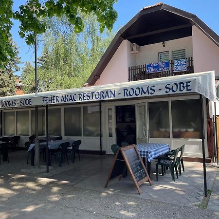 Feher Akac Guest House Palić Εξωτερικό φωτογραφία